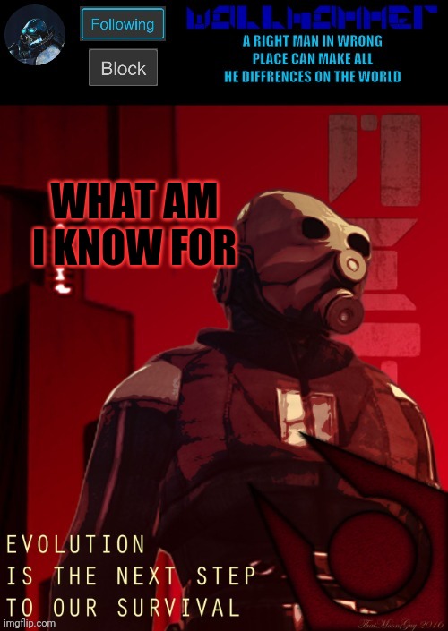 WHAT AM I KNOW FOR | image tagged in wallhammer temp | made w/ Imgflip meme maker