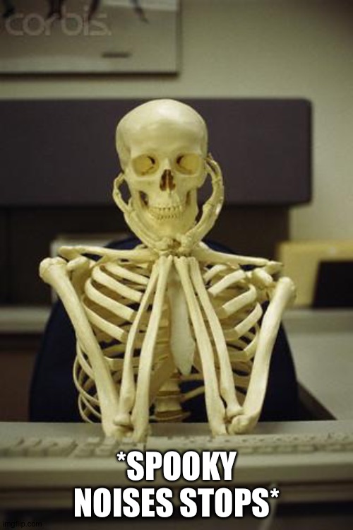 Waiting Skeleton | *SPOOKY NOISES STOPS* | image tagged in waiting skeleton | made w/ Imgflip meme maker
