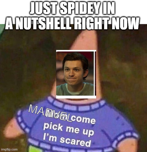 :( | JUST SPIDEY IN A NUTSHELL RIGHT NOW; MARVEL | image tagged in mom come pick me up i'm scared | made w/ Imgflip meme maker