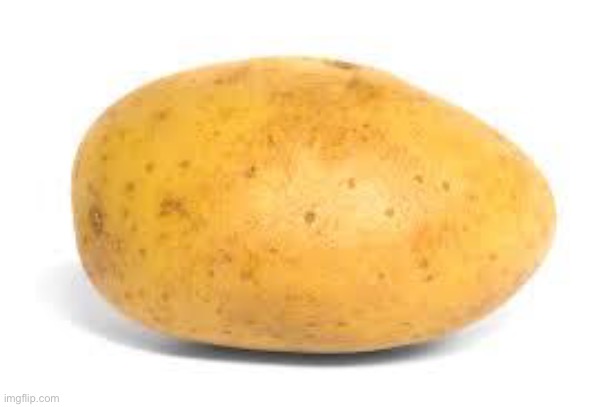 People post trends, deep things, jokes.  I post potato | image tagged in potato | made w/ Imgflip meme maker