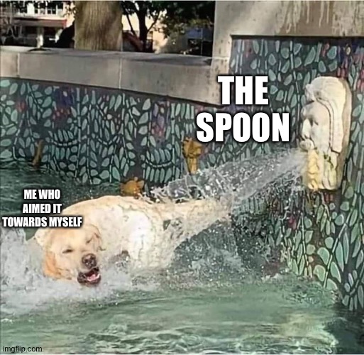 Dog getting soaked | ME WHO AIMED IT TOWARDS MYSELF THE SPOON | image tagged in dog getting soaked | made w/ Imgflip meme maker