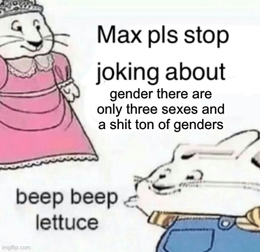 Max pls stop joking about blank | gender there are only three sexes and a shit ton of genders | image tagged in max pls stop joking about blank | made w/ Imgflip meme maker