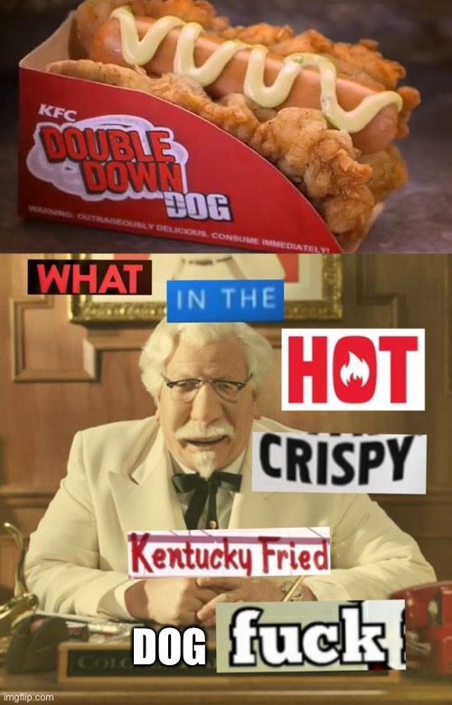 DOG | image tagged in what in the hot crispy kentucky fried frick | made w/ Imgflip meme maker