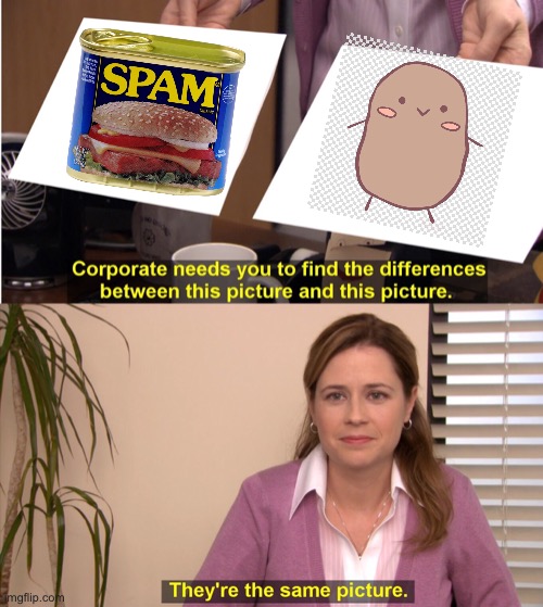 Potato spam | image tagged in memes,they're the same picture,potato,spam | made w/ Imgflip meme maker