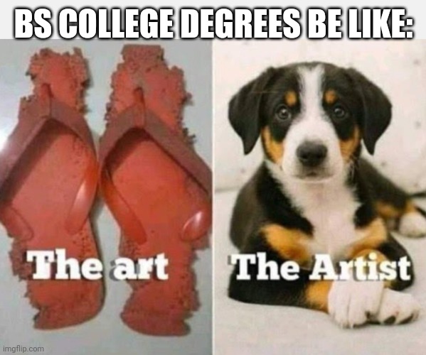 BS COLLEGE DEGREES BE LIKE: | image tagged in funny memes | made w/ Imgflip meme maker