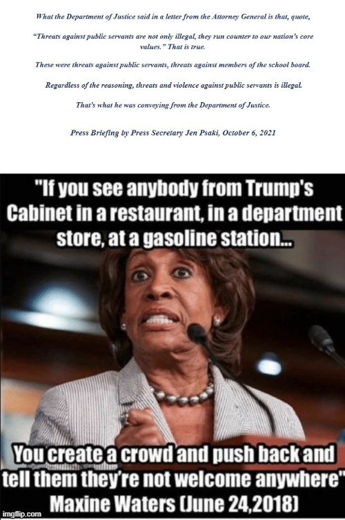 Violence agaist Public Servants is illegal | image tagged in violence agaist public servants,jen psaki,maxine waters | made w/ Imgflip meme maker