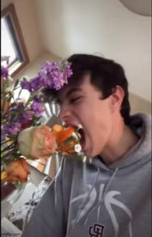 yum | image tagged in eating flowers | made w/ Imgflip meme maker