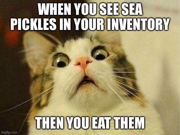 Scared Cat Meme | WHEN YOU SEE SEA PICKLES IN YOUR INVENTORY; THEN YOU EAT THEM | image tagged in memes,scared cat | made w/ Imgflip meme maker