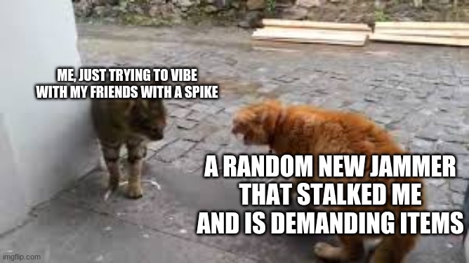 Aj life in a nutshell | ME, JUST TRYING TO VIBE WITH MY FRIENDS WITH A SPIKE; A RANDOM NEW JAMMER THAT STALKED ME AND IS DEMANDING ITEMS | image tagged in cat,animaljam | made w/ Imgflip meme maker