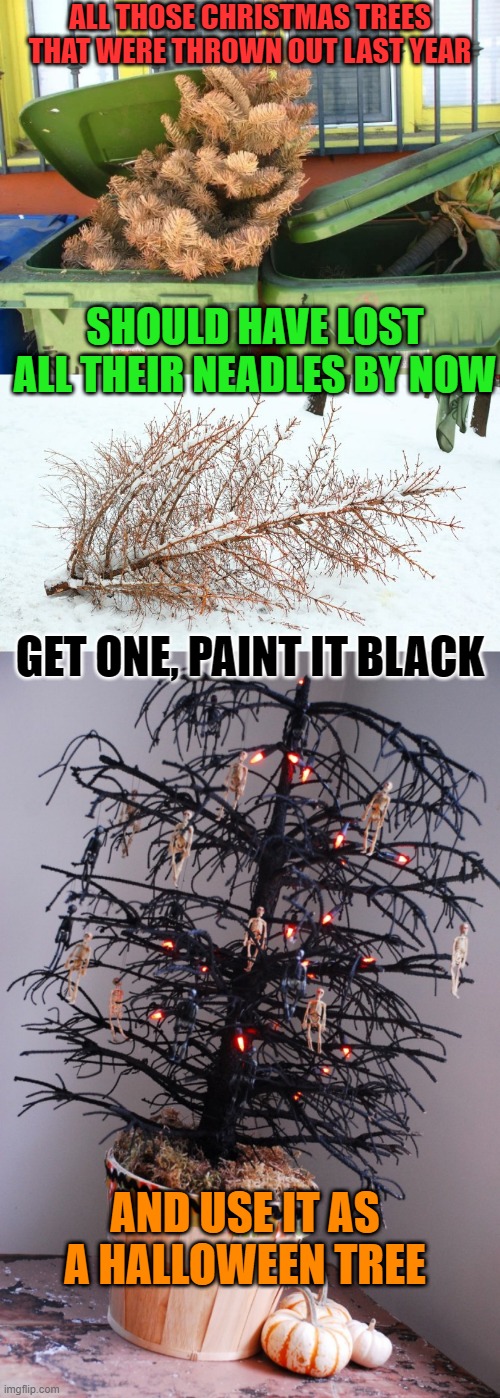 REDUCE REUSE RECYCLE | ALL THOSE CHRISTMAS TREES THAT WERE THROWN OUT LAST YEAR; SHOULD HAVE LOST ALL THEIR NEADLES BY NOW; GET ONE, PAINT IT BLACK; AND USE IT AS A HALLOWEEN TREE | image tagged in halloween,christmas tree,spooktober,recycle | made w/ Imgflip meme maker