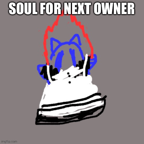 I am online all the time | SOUL FOR NEXT OWNER | image tagged in maid soul | made w/ Imgflip meme maker