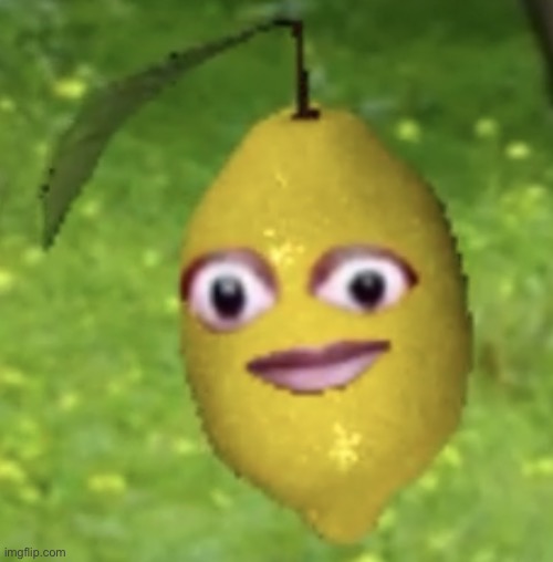 Cursed lemon | image tagged in cursed lemon | made w/ Imgflip meme maker