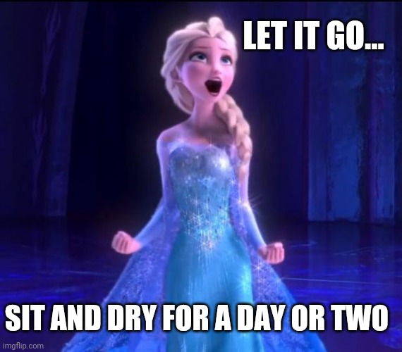 Let it go | LET IT GO... SIT AND DRY FOR A DAY OR TWO | image tagged in let it go | made w/ Imgflip meme maker