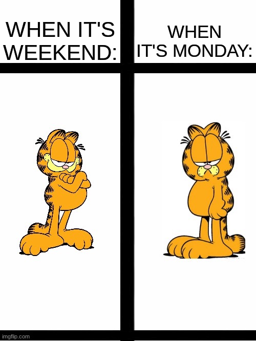 When its weekend Vs When Its Monday | WHEN IT'S MONDAY:; WHEN IT'S WEEKEND: | image tagged in garfield meme,garfield,meme,memes | made w/ Imgflip meme maker