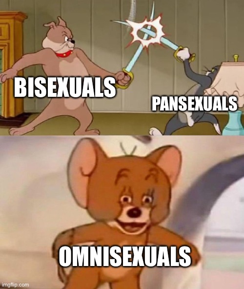 Fr though… what do omnis think of the bi v pan wars? | BISEXUALS; PANSEXUALS; OMNISEXUALS | image tagged in tom and jerry swordfight | made w/ Imgflip meme maker