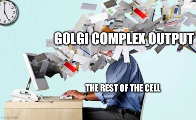 e |  GOLGI COMPLEX OUTPUT; THE REST OF THE CELL | image tagged in mail overload | made w/ Imgflip meme maker