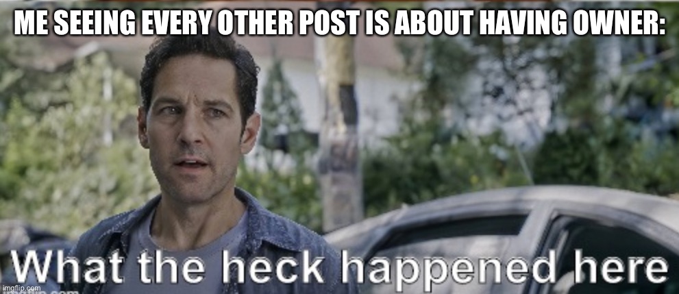 wot | ME SEEING EVERY OTHER POST IS ABOUT HAVING OWNER: | image tagged in antman what the heck happened here | made w/ Imgflip meme maker