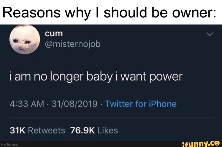 Z | Reasons why I should be owner: | image tagged in funny | made w/ Imgflip meme maker