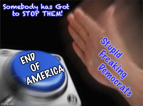 De Fund Them, before they De Stroy Us | Somebody has Got
 to STOP THEM! Stupid                    
Freaking          
Democrats; END        
OF     
AMERICA | image tagged in memes,they are no longer liberals,leftist statist marxists bent on destroying usa,they can kma,f progressives too | made w/ Imgflip meme maker