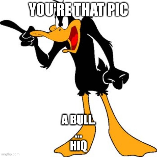 thispicable? | YOU'RE THAT PIC; A BULL. 
...

HIQ | image tagged in daffy duck 201 | made w/ Imgflip meme maker