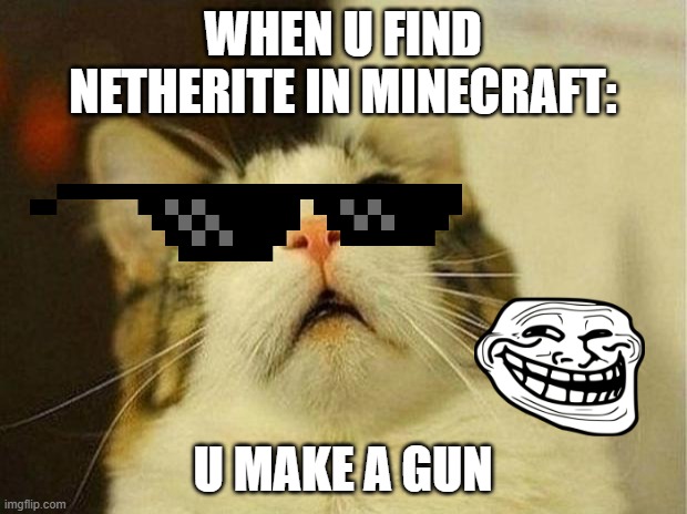 why we use mods | WHEN U FIND NETHERITE IN MINECRAFT:; U MAKE A GUN | image tagged in memes,scared cat | made w/ Imgflip meme maker