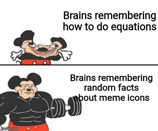 Memeri | Brains remembering how to do equations; Brains remembering random facts about meme icons | image tagged in buff mokey | made w/ Imgflip meme maker