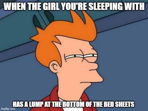Futurama Fry | WHEN THE GIRL YOU'RE SLEEPING WITH; HAS A LUMP AT THE BOTTOM OF THE BED SHEETS | image tagged in memes,futurama fry | made w/ Imgflip meme maker