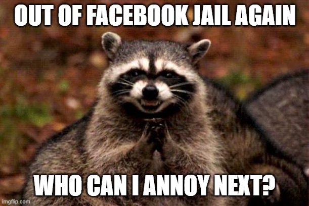 which thin skin can i troll today? | OUT OF FACEBOOK JAIL AGAIN; WHO CAN I ANNOY NEXT? | image tagged in memes,evil plotting raccoon | made w/ Imgflip meme maker