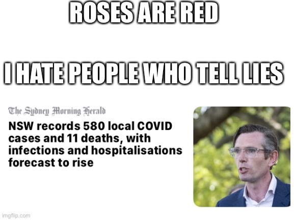 (Owner note: DAYUM!!!) | ROSES ARE RED; I HATE PEOPLE WHO TELL LIES | image tagged in blank white template | made w/ Imgflip meme maker