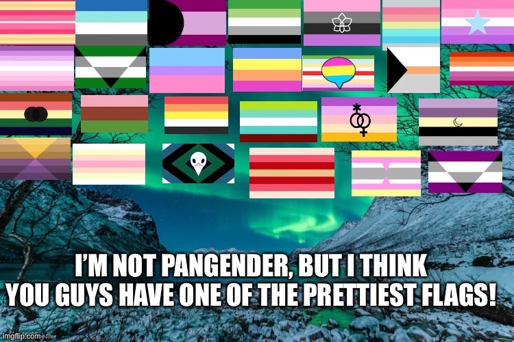 Not sure what I should put here |  I’M NOT PANGENDER, BUT I THINK YOU GUYS HAVE ONE OF THE PRETTIEST FLAGS! | made w/ Imgflip meme maker