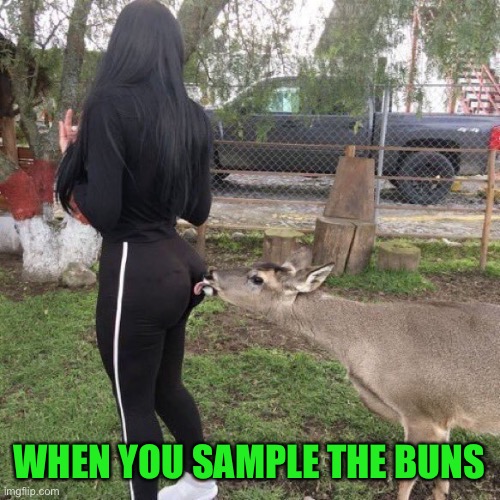 deer licks butt | WHEN YOU SAMPLE THE BUNS | image tagged in deer licks butt | made w/ Imgflip meme maker