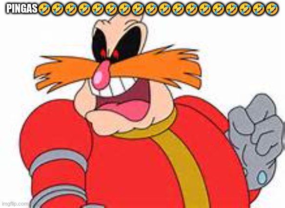 PINGAS | PINGAS?????????????????? | image tagged in pingas | made w/ Imgflip meme maker