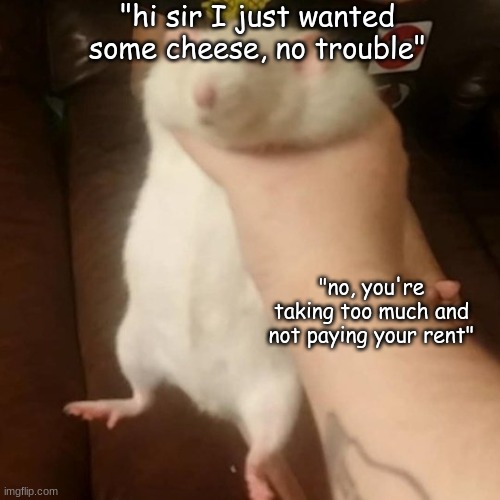 ruh roh | "hi sir I just wanted some cheese, no trouble"; "no, you're taking too much and not paying your rent" | image tagged in grabbing a fat rat,talking | made w/ Imgflip meme maker