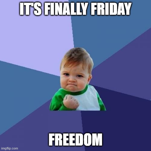 Freedom!!! | IT'S FINALLY FRIDAY; FREEDOM | image tagged in memes,success kid,freedom,friday | made w/ Imgflip meme maker