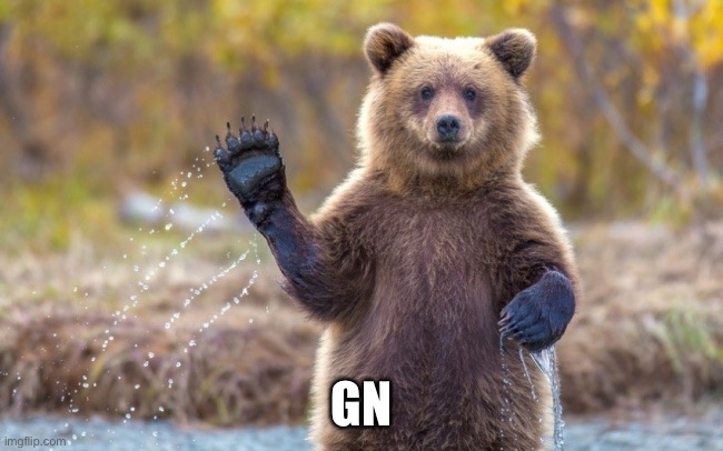 bye bye bear | GN | image tagged in bye bye bear | made w/ Imgflip meme maker