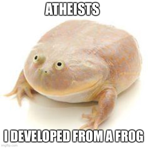 Wednesday Frog Blank | ATHEISTS I DEVELOPED FROM A FROG | image tagged in wednesday frog blank | made w/ Imgflip meme maker