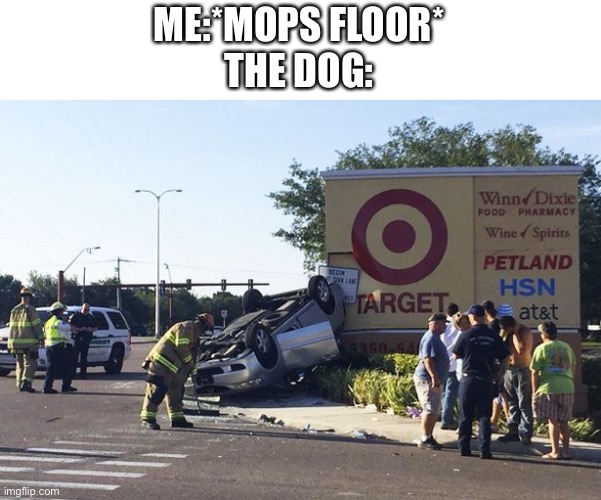 Target car crash | ME:*MOPS FLOOR*
THE DOG: | image tagged in target car crash | made w/ Imgflip meme maker