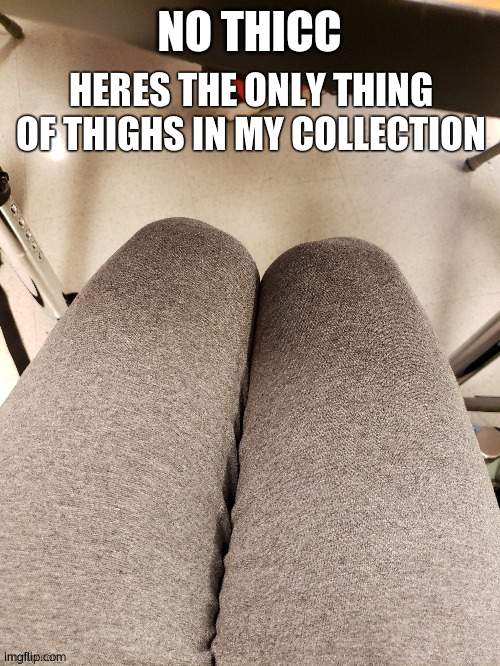 jet blacks thigh | HERES THE ONLY THING OF THIGHS IN MY COLLECTION | image tagged in jet blacks thigh | made w/ Imgflip meme maker