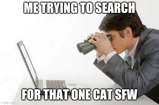 i cant find it | ME TRYING TO SEARCH; FOR THAT ONE CAT SFW | image tagged in searching computer,nintendo switch | made w/ Imgflip meme maker