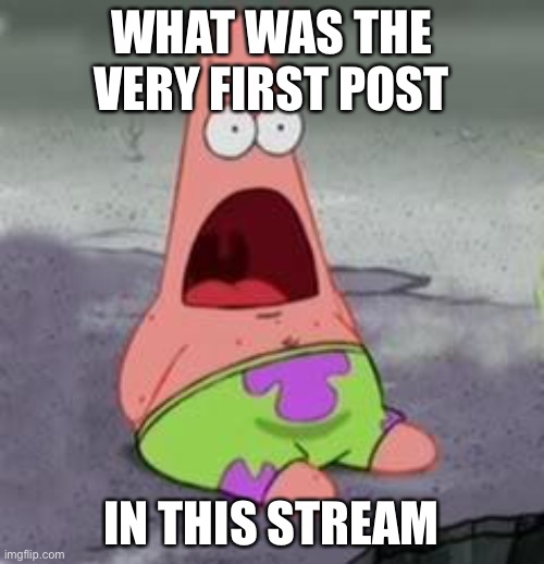 Suprised Patrick | WHAT WAS THE VERY FIRST POST; IN THIS STREAM | image tagged in suprised patrick | made w/ Imgflip meme maker