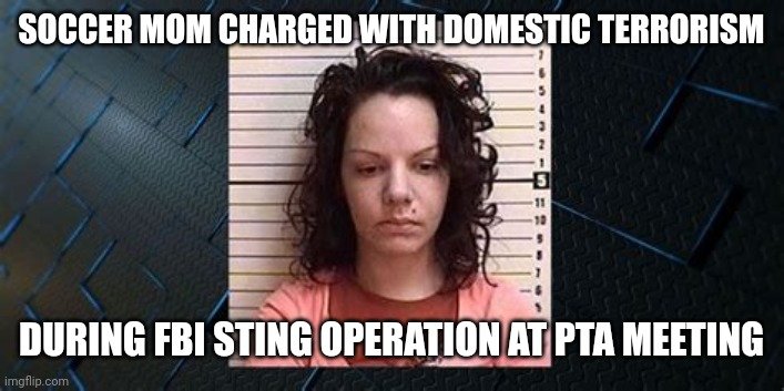 MOM STING ARREST | SOCCER MOM CHARGED WITH DOMESTIC TERRORISM; DURING FBI STING OPERATION AT PTA MEETING | image tagged in mom in jail,funny memes | made w/ Imgflip meme maker