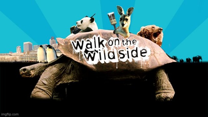A very real BBC show | image tagged in memes,unfunny | made w/ Imgflip meme maker