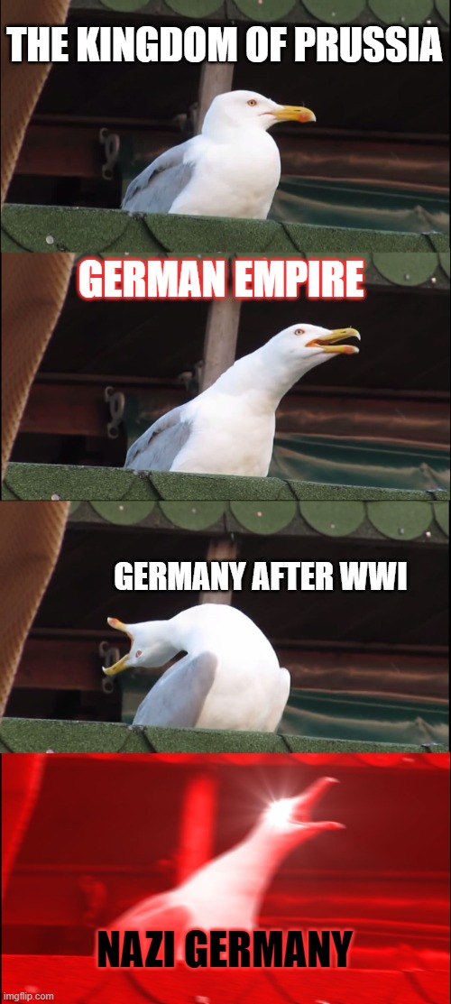 Inhaling Seagull Meme | THE KINGDOM OF PRUSSIA; GERMAN EMPIRE; GERMANY AFTER WWI; NAZI GERMANY | image tagged in memes,ww2,nazi | made w/ Imgflip meme maker