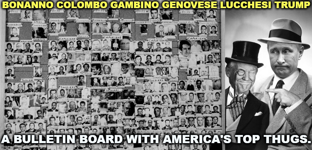 A crook is a crook is a crook. | BONANNO COLOMBO GAMBINO GENOVESE LUCCHESI TRUMP; A BULLETIN BOARD WITH AMERICA'S TOP THUGS. | image tagged in trump,thug,criminal,mafia don | made w/ Imgflip meme maker