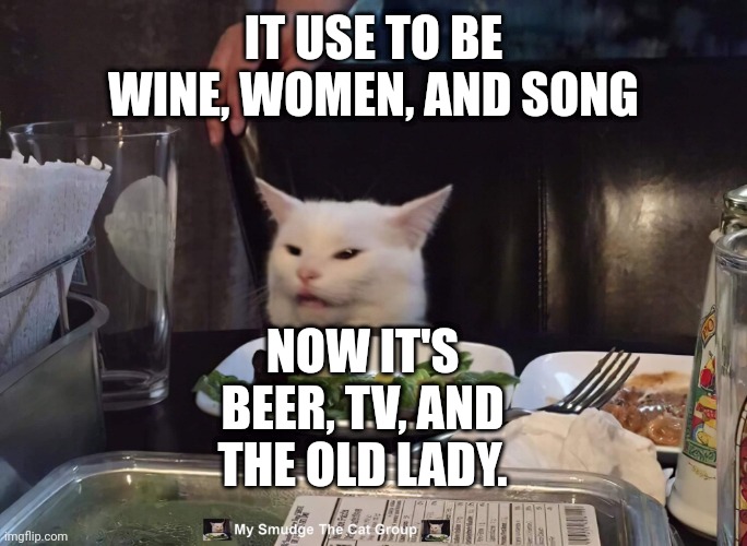 IT USE TO BE WINE, WOMEN, AND SONG; NOW IT'S BEER, TV, AND THE OLD LADY. | image tagged in smudge the cat | made w/ Imgflip meme maker