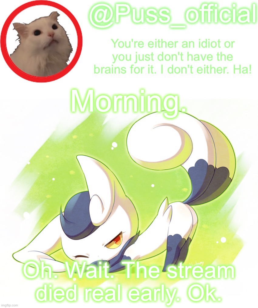 Puss_official announcement template |  Morning. Oh. Wait. The stream died real early. Ok. | image tagged in puss_official announcement template | made w/ Imgflip meme maker