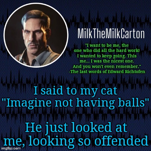 MilkTheMilkCarton but he's resorting to schtabbing | I said to my cat "Imagine not having balls"; He just looked at me, looking so offended | image tagged in milkthemilkcarton but he's resorting to schtabbing | made w/ Imgflip meme maker