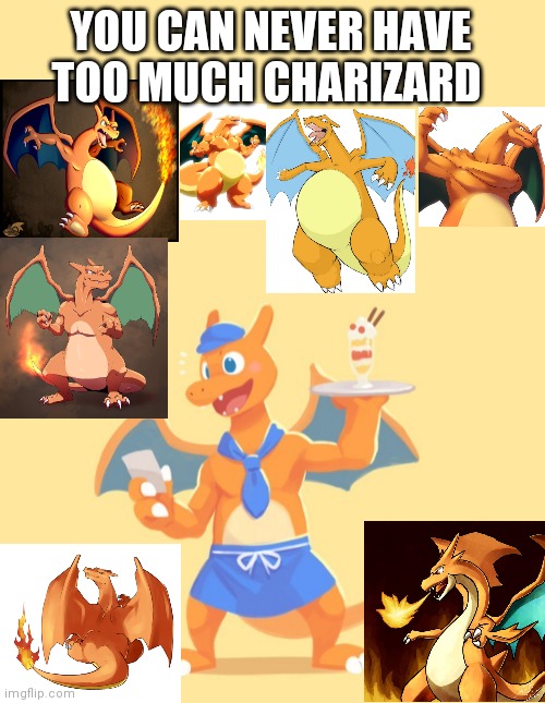 High Quality You can never have too much charizard Blank Meme Template