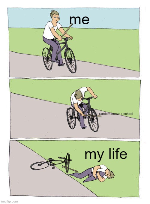 any thing can ruin your life | me; random boner + school; my life | image tagged in memes,bike fall | made w/ Imgflip meme maker