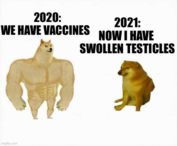 Strong dog vs weak dog | 2020:
WE HAVE VACCINES; 2021:
NOW I HAVE 
SWOLLEN TESTICLES | image tagged in strong dog vs weak dog | made w/ Imgflip meme maker